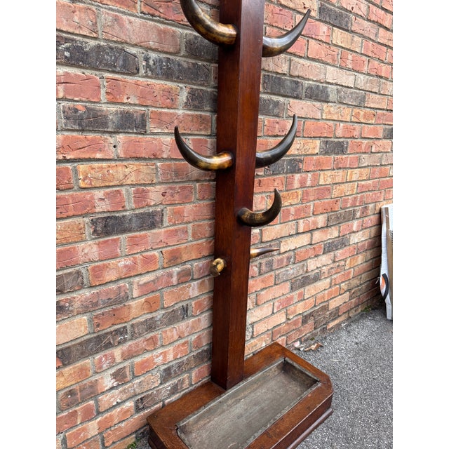Mid 19th Century 19th Century Bull Horn Hall Tree For Sale - Image 5 of 12