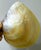 Vintage Mother of Pearl Caviar Dishes and Spoons For Sale - Image 13 of 16