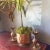Brass Pineapple Trio of Planter and Candleholders - Set of 3 For Sale - Image 10 of 11