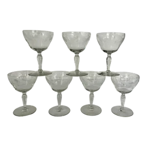 Vintage Floral Etched Coupes or Cocktail Glasses - Set of 7