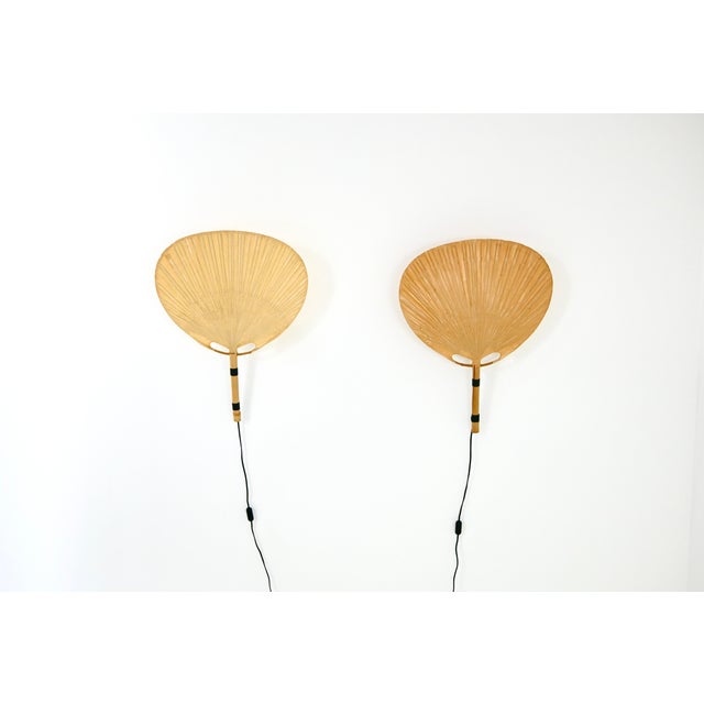 Uchiwa Wall Lamps by Ingo Maurer for M Design, 1970s, Set of 2 For Sale - Image 14 of 14