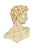 Grand Tour Vintage Carved Resin Grand Tour Bust of David by Michelangelo For Sale - Image 3 of 12