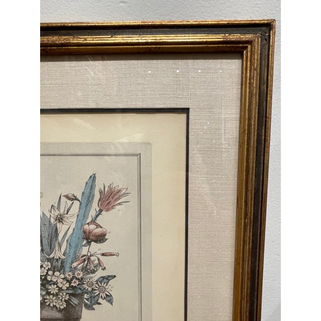 Vintage "Flowers of North America" Print by W. Chapman Chairish