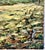 Mid-Century Social Realism Captured in “Braceros at Work” by Mildred H. Smith For Sale In San Francisco - Image 6 of 10