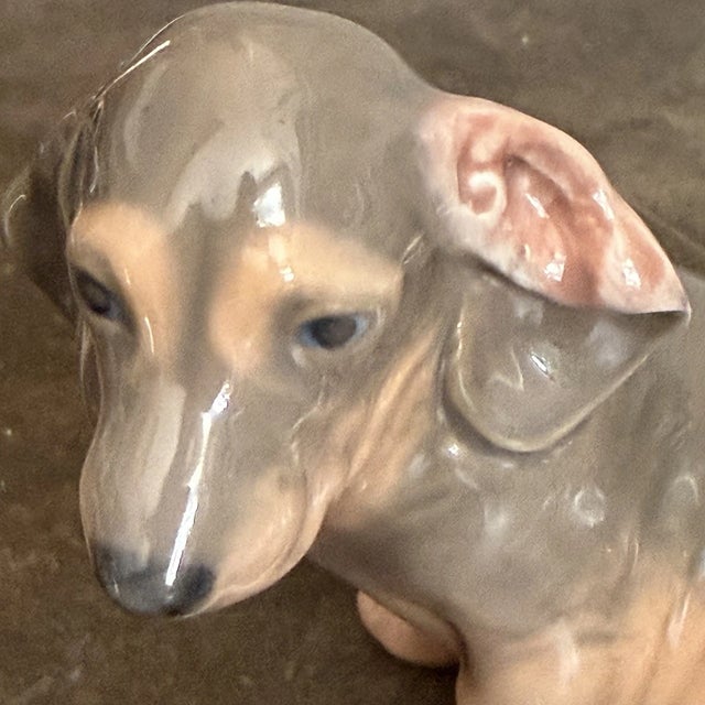 Celebrate the charm and loyalty of one of the world's most beloved dog breeds with this **Royal Copenhagen Dachshund...