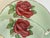 Vintage Paragon English Bone China Rose Teacup and Saucer For Sale - Image 4 of 11