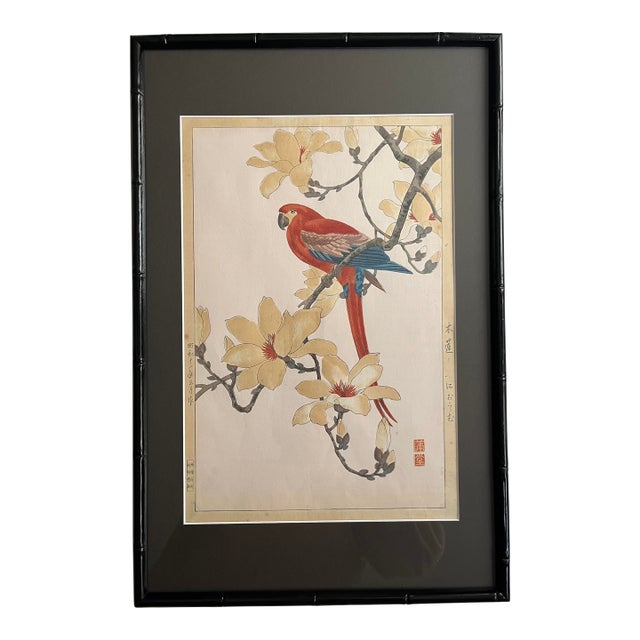 1937 Nishimura Hodo 'Parrott on Magnolia Flower Branch' Japanese Woodblock Print, Framed For Sale