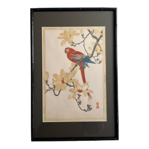 1937 Nishimura Hodo 'Parrott on Magnolia Flower Branch' Japanese Woodblock Print, Framed