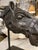 Folk Art 19th Century American Carved Wood Horse Head For Sale - Image 3 of 12