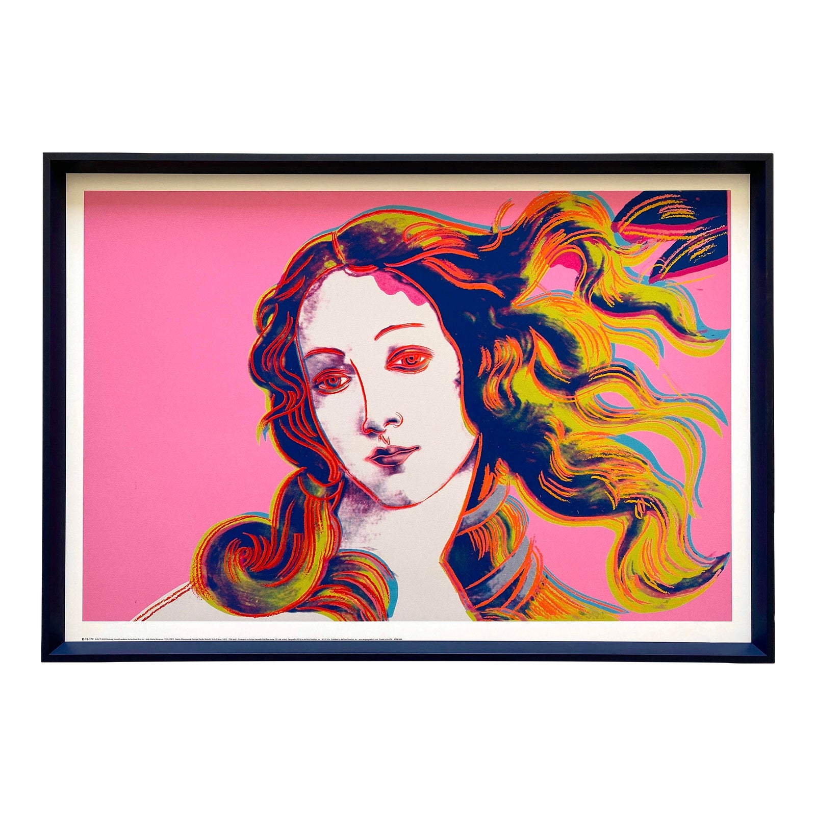 Andy Warhol Foundation Offset Lithograph Reproduction Print Framed