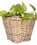 Wood Artifacts Rattan Square Tapered Planter with Black Plastic Insert, Natural, 11.5" For Sale - Image 7 of 10