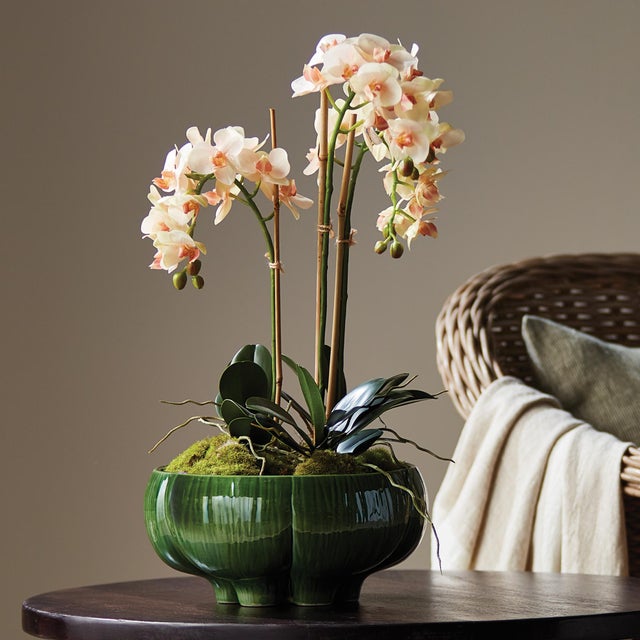 Kenneth Ludwig Chicago Phalaenopsis 16" Mini Garden Drop-In For Sale - Image 4 of 8