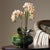 Kenneth Ludwig Chicago Phalaenopsis 16" Mini Garden Drop-In For Sale - Image 4 of 8