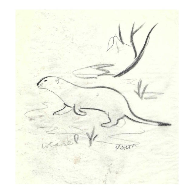 1940s Helen Malta Otter Drawing For Sale