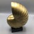 Gold Faux Gold Shell on Black Base For Sale - Image 8 of 13