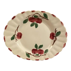 Vintage Blue Ridge Southern Pottery Autumn Apple Platter