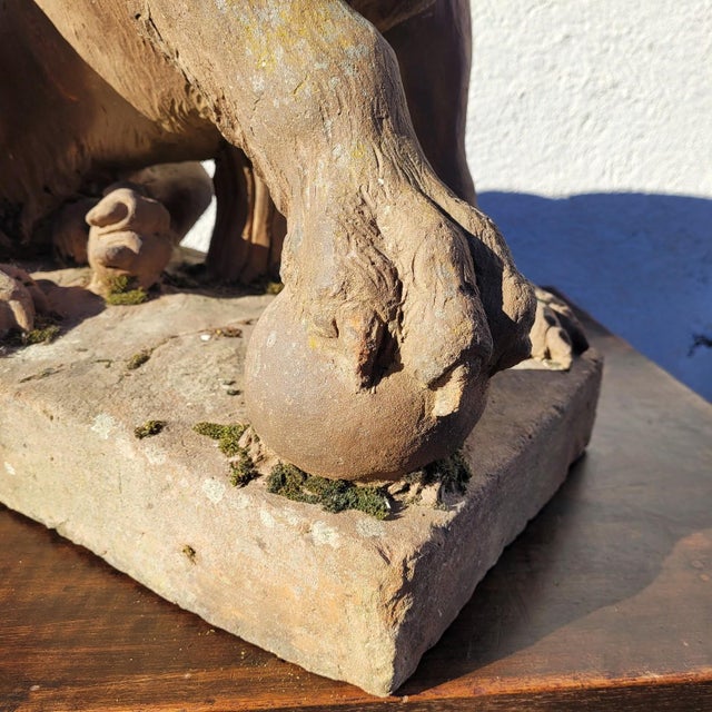 Lion Sculpture in Terracotta, 1800s For Sale - Image 4 of 18