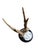 Cabin Roe Deer Trophy 204 Black Forest Antlers Mount For Sale - Image 3 of 5