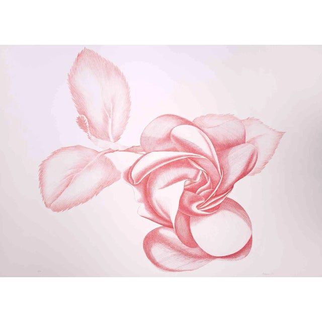 Giacomo Porzano, Red Rose, Original Etching, 1970s For Sale