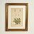Antique Group of Nine Hand Colored Botanical Prints For Sale - Image 15 of 18