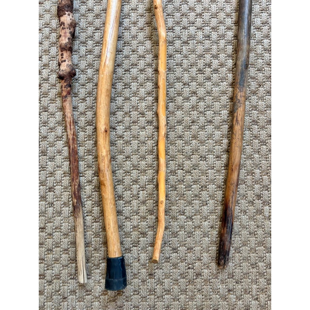 Wood Late 20th Century Set Four Rustic Twisted and Knobby Carved Walking Sticks For Sale - Image 7 of 8