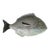 Vintage Bordallo Pinheiro Gray Fish Ceramic Serving Plate Platter For Sale