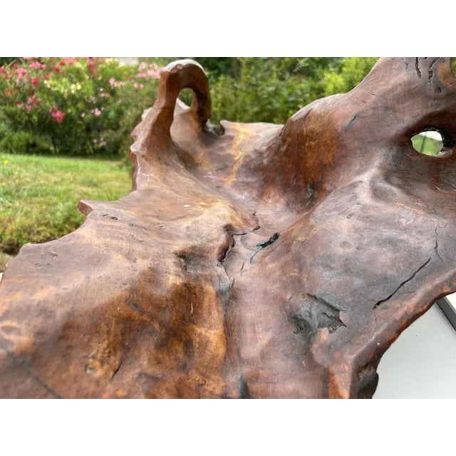 Large Brutalist Wood Bowl in Brown Patina, France, 1960s For Sale - Image 6 of 10