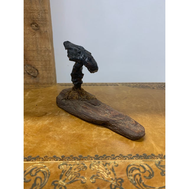 Late 19th Century Pair of Late 19th Century French Folk Art Instructional Mushroom Specimens For Sale - Image 5 of 11