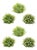 Varigated Mini Leaf Half Orb (Set of 6) For Sale