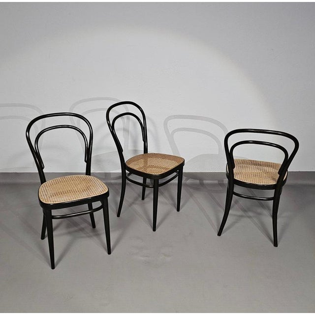 Model 214 and 79 Cafe Chairs with Cane Seats by Michael Thonet, Set of 3 For Sale - Image 17 of 18