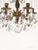 Shabby Chic Share Antique Teeny Tiny Twinkling 5 Arm 5 Light Brass Cut Lead Crystal Chandelier ~ Rewired ~ Restored ~ Rejuvenated ~ Ready to Hang ~ For Sale - Image 3 of 12