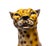 Black Italian Ceramic Monumental Cheetah, 1970 For Sale - Image 8 of 12