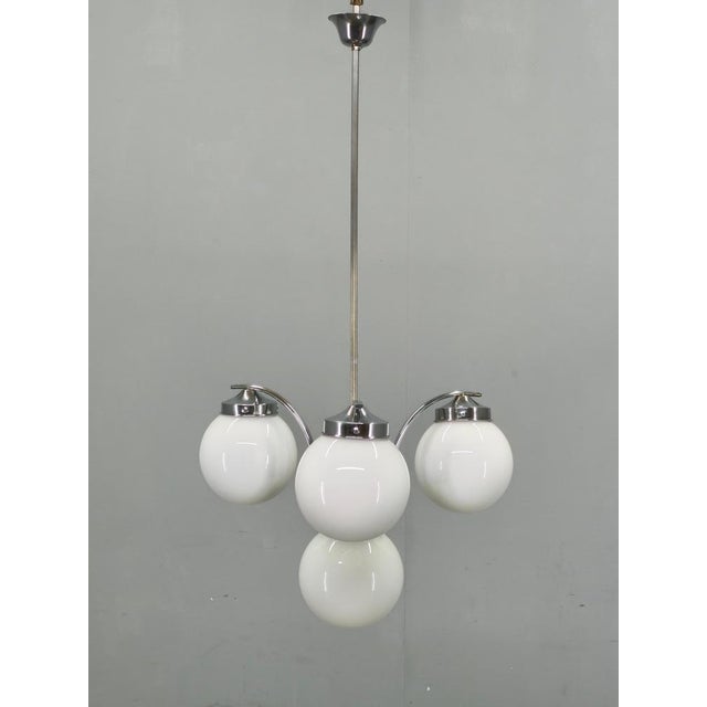 Czech Art Deco Chandelier with Four Opaline Glass Shades, 1930s For Sale - Image 3 of 15