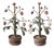 Vintage Italian Tole Peinte Potted Strawberry Plant Sculpture / Toleware Floral / Flower Arrangement, Made in Italy, a Pair For Sale