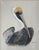 Late 20th Century Large Framed Coastal Pelican Pastel Drawing by Dolores Witt For Sale In Orlando - Image 6 of 7