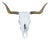 Western Southwestern Longhorn Cow Bull Steer Skull Horns Taxidermy 26" For Sale