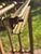 Brass 19th Century Victorian 42" Brass Fireplace Fender For Sale - Image 8 of 15