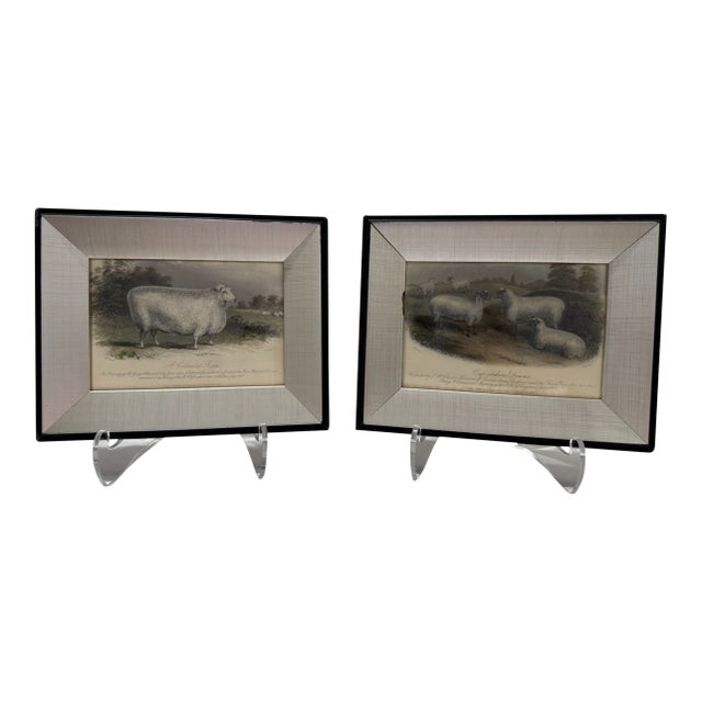 Mid 20th Century Framed Sheep Engravings Bakewell Ram Oxfordshire Downs - Set of 2 For Sale
