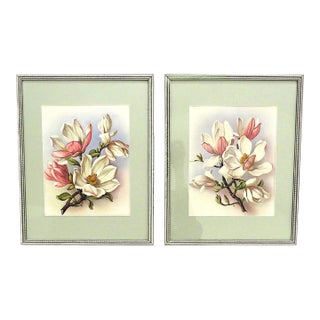 Pair of Art Deco Magnolia Lithograph Prints Floral Flowers Framed For Sale