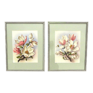 Pair of Art Deco Magnolia Lithograph Prints Floral Flowers Framed