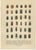 Paper Calwer, Beetles, Chromolithographs, 1893, Set of 8 For Sale - Image 7 of 11