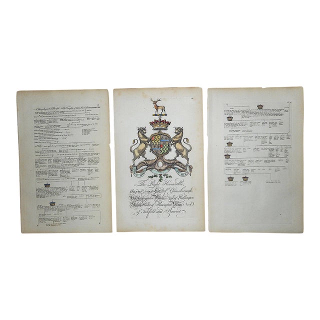 Antique 18th Century Copperplate Engravings-Heraldry Crest & Family Tree-13"x19.5" - Set of 3 For Sale