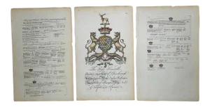 Antique 18th Century Copperplate Engravings-Heraldry Crest & Family Tree-13"x19.5" - Set of 3
