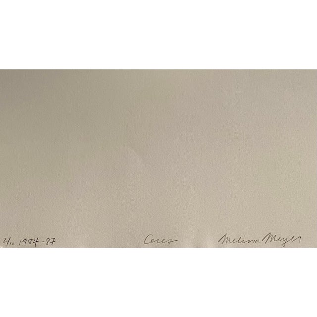 1980s Melissa Meyer, American Abstract Expressionist Artist Melissa Meyer Aquatint Etching, 1984-1987 For Sale - Image 5 of 5