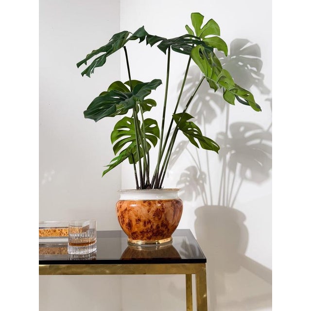 Hollywood Regency Late Mid-Century Italian Cachepot in Castelli Ceramic with Burl Decoration, 1970s For Sale - Image 3 of 15