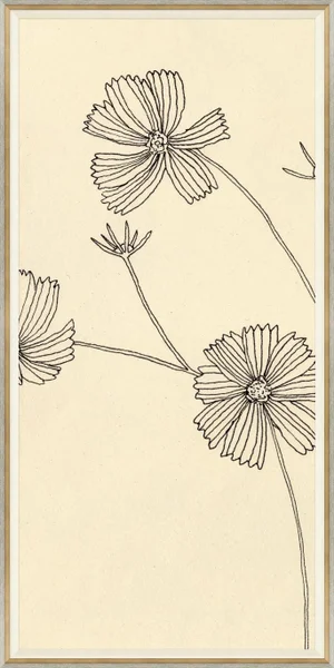 Cosmos I Framed Art Print