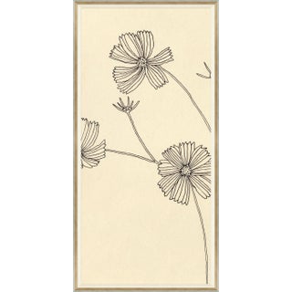 Cosmos I Framed Art Print by Susan Hable For Sale