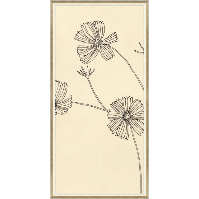 Cosmos I Framed Art Print by Susan Hable For Sale