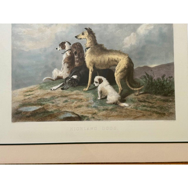 Sir Edwin Henry Landseer 1880 Hand-Colored Engraving "Highland Dogs" After Sir Edwin Landseer in Custom Burlwood Frame For Sale - Image 4 of 11