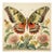 18" X 18" 'Butterfly and Flowers' Botanical Fine Art Print For Sale